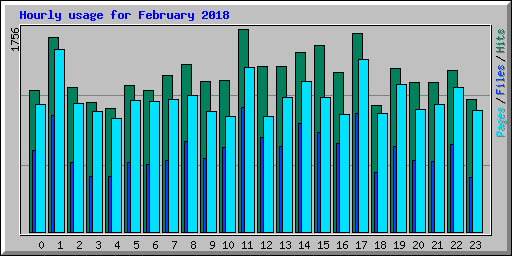 Hourly usage for February 2018